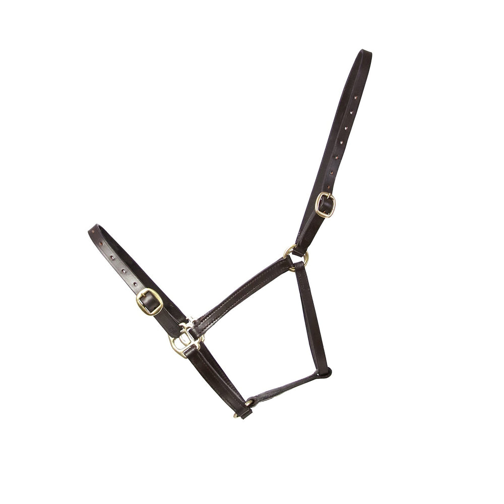 Hy Equestrian Leather Foal Headcollar Brown