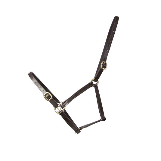 Hy Equestrian Leather Foal Headcollar Brown