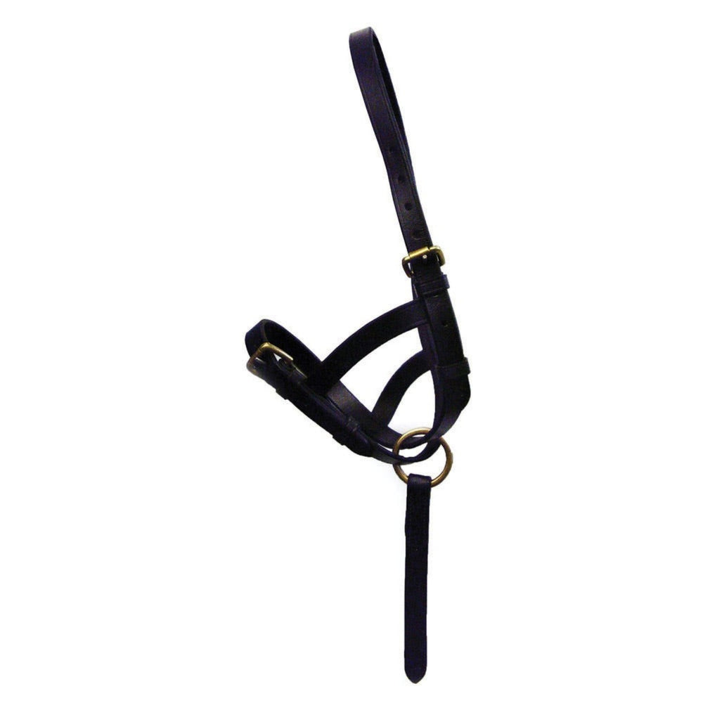 Hy Equestrian Leather Foal Slip Black