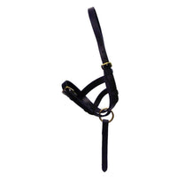 Hy Equestrian Leather Foal Slip Black