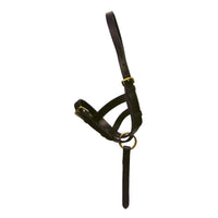 Hy Equestrian Leather Foal Slip Black