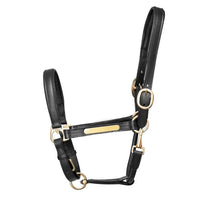Hy Equestrian Leather Headcollar Black