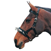 Hy Equestrian Lunge Cavesson Black