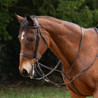 Hy Equestrian Market Harborough