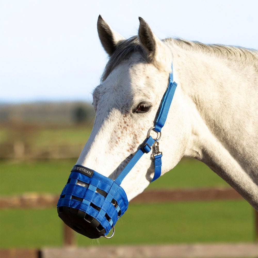 Hy Equestrian Muzzle Blue