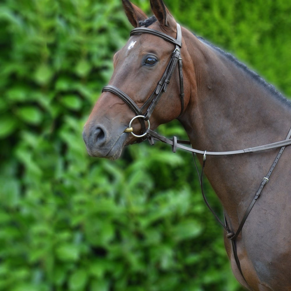 Hy Equestrian Running Martingale Brown