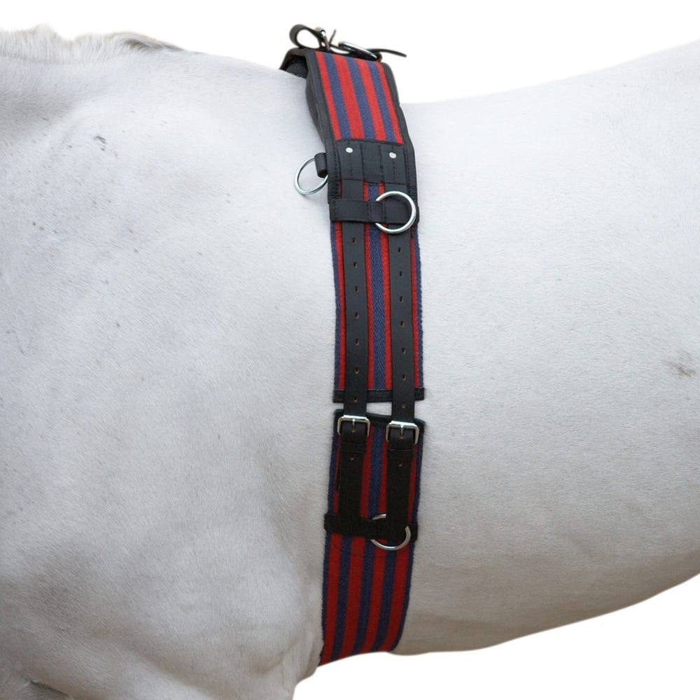 Hy Equestrian Training Roller
