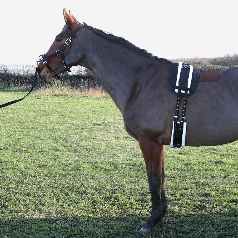 Hy Equestrian Lunge Roller Black