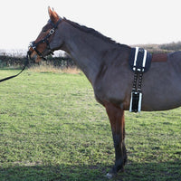 Hy Equestrian Lunge Roller Black