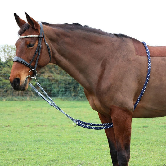 Hy Equestrian Lunging Aid Navy/Grey