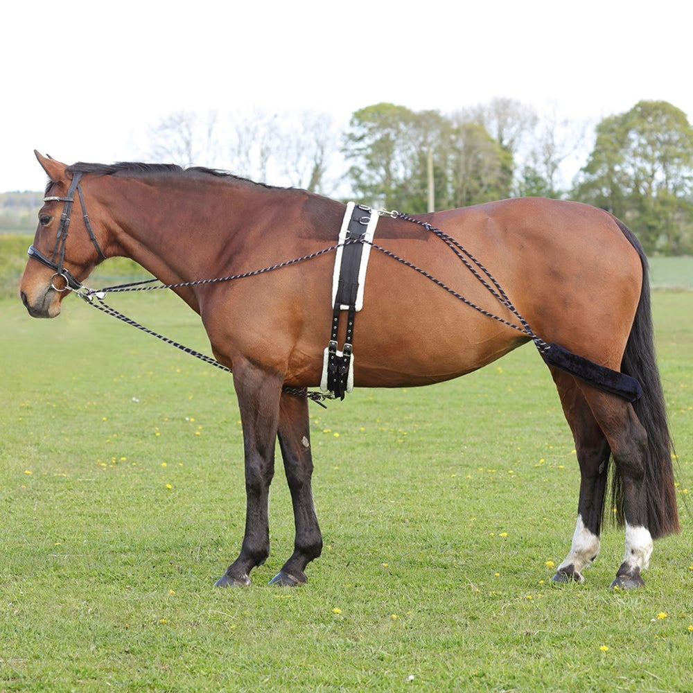 Hy Equestrian Lunging System Navy/Grey