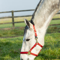 Hy Equestrian Fieldsafe Headcollar Red
