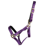 Hy Equestrian Fieldsafe Headcollar Purple