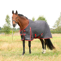 Hyconic 0G Turnout Rug Charcoal/Red