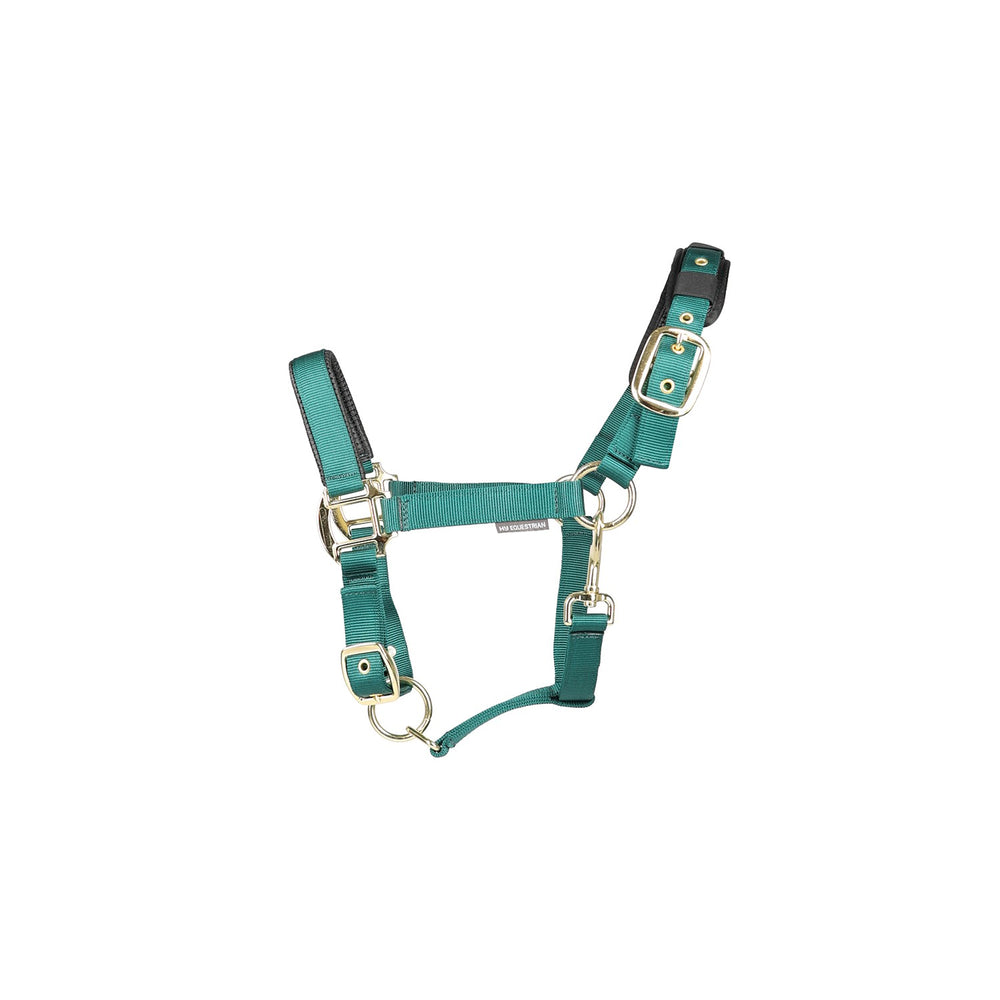 Hy Equestrian Deluxe Padded Headcollar Bottle Green