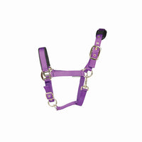 Hy Equestrian Deluxe Padded Headcollar Purple
