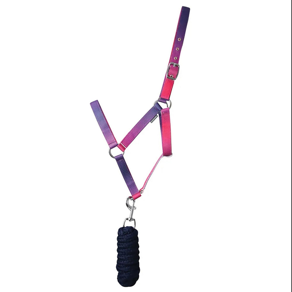 Hy Equestrian Ombre Headcollar & Lead Rope Pink/Purple/Navy