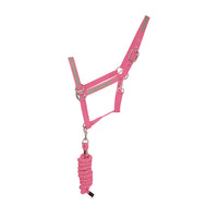 Reflector Headcollar & Lead Rope Pink
