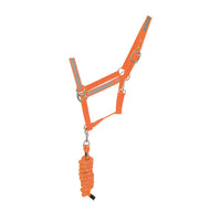 Reflector Headcollar & Lead Rope Orange