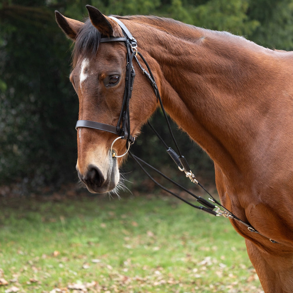 Hy Equestrian De Gouge Black