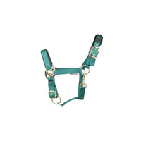 Hy Equestrian Deluxe Padded Headcollar Bottle Green