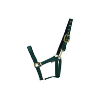 Hy Equestrian Fieldsafe Headcollar Green