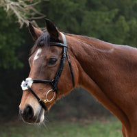 Hy Equestrian Mexican Grackle Bridle/Rubber Grip Reins Black