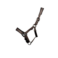 Proreaction Transform Headcollar  Grey