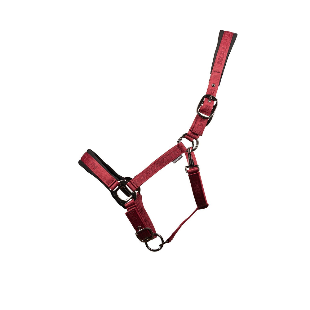 Proreaction Transform Headcollar  Burgundy