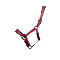 Proreaction Transform Headcollar  Burgundy