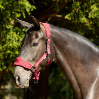 Proreaction Dura Fleece Headcollar  Burgundy