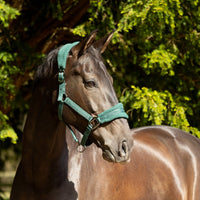 Proreaction Dura Fleece Headcollar  Hunter Green
