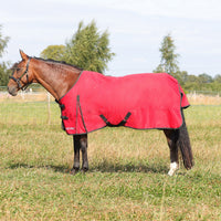 Hyconic 200G Turnout Rug Red