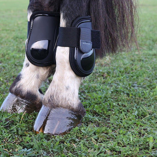Hy Equestrian Pro Fetlock Boots Black