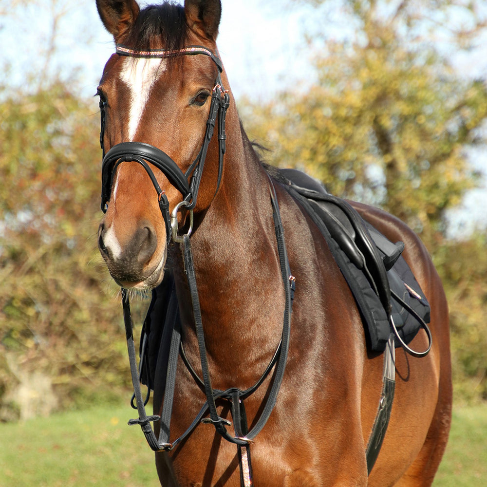 Hy Equestrian Rosciano Martingale Black/Rose Gold