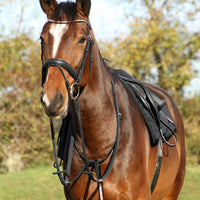 Hy Equestrian Rosciano Martingale Black/Rose Gold