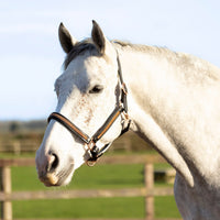 Hy Equestrian Rosciano Headcollar Black/Rose Gold
