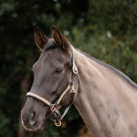 Hy Equestrian Rosciano Headcollar Brown/Rose Gold