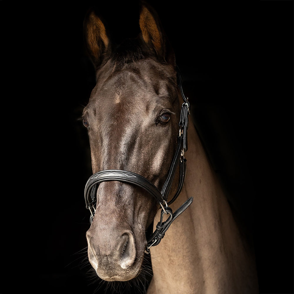Propresicce Softy Leather Headcollar  Black/Silver