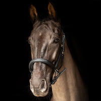 Propresicce Softy Leather Headcollar  Black/Silver