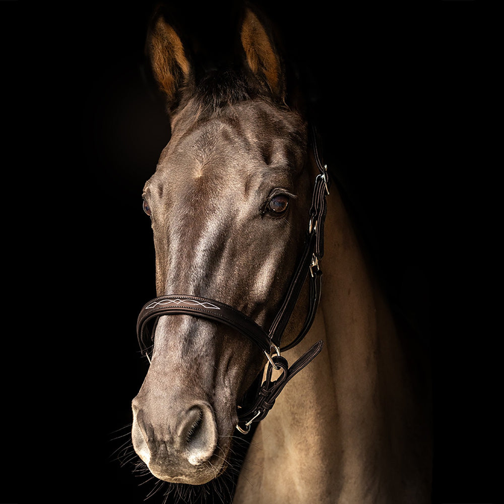 Propresicce Softy Leather Headcollar  Brown/Silver