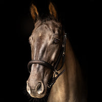 Propresicce Softy Leather Headcollar  Brown/Silver