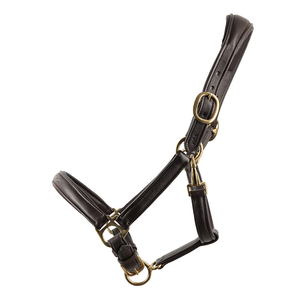 Propresicce Softy Leather Headcollar  Brown/Brass