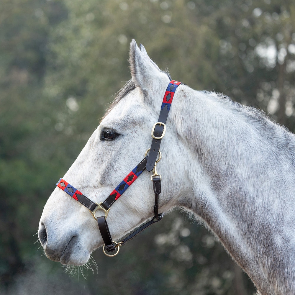 Hy Equestrian Polo Leatherheadcollar Navy/Red