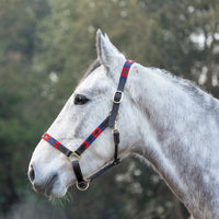 Hy Equestrian Polo Leatherheadcollar Navy/Red