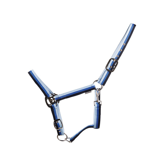 Hy Equestrian Trinity Headcollar Navy/Blue/L Blue