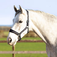 Hy Equestrian Ink Headcollar Navy/Grey