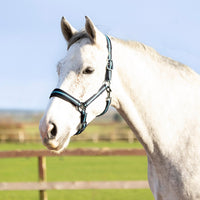 Hy Equestrian Ink Headcollar Navy/Teal