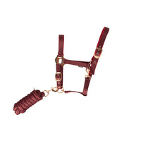 Hy Equestrian Head Collar & Lead Rope Berry/Rose Gold