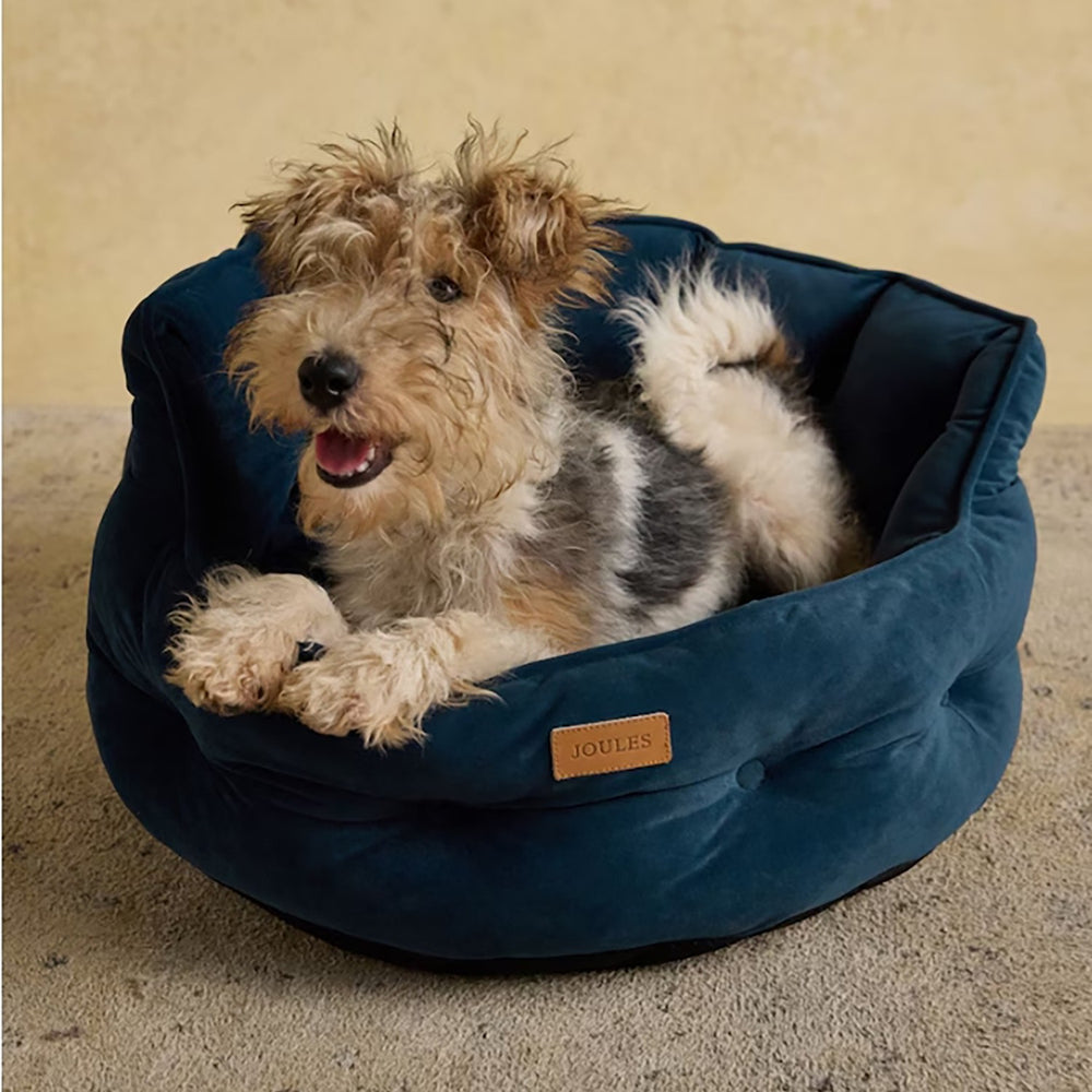 Joules Chesterfield Pet Bed Navy